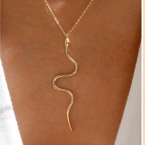 Snake Charm Necklace